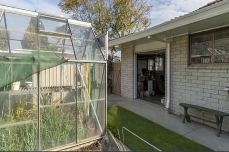 Photo of property in 5 Heron Avenue, Matua, Tauranga, 3110