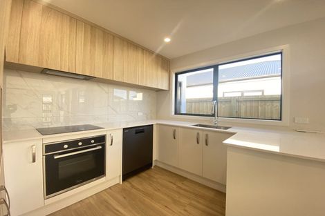 Photo of property in 38b Russell Lilley Drive, Rolleston, 7614