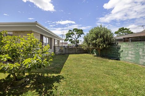 Photo of property in 24 Young Street, Te Awamutu, 3800