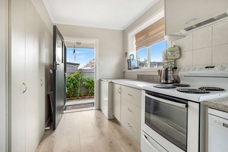 Photo of property in 18 Rapley Street, Hampstead, Ashburton, 7700