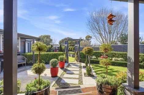 Photo of property in 23 Gibbons Crescent, Castlecliff, Whanganui, 4501