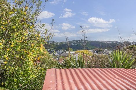 Photo of property in 5 Douro Avenue, Newtown, Wellington, 6021