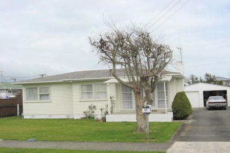 Photo of property in 53 Read Street, Levin, 5510