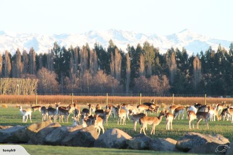 Photo of property in 18 Meadowlinks Lane, Pleasant Point, 7974