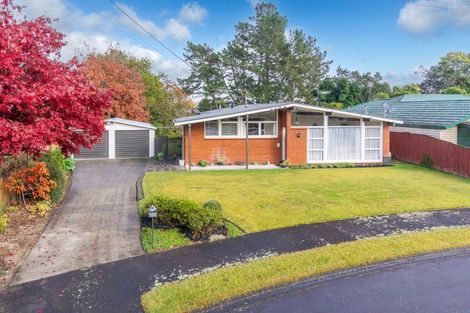 Photo of property in 5 Carolyn Place, Fitzroy, Hamilton, 3206