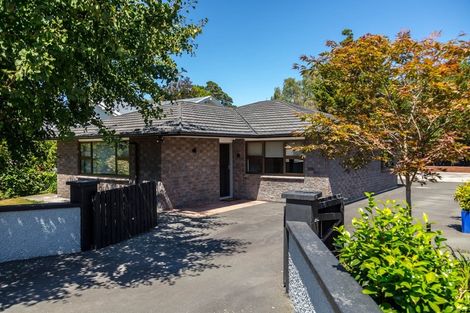 Photo of property in 27a Essex Street, Masterton, 5810