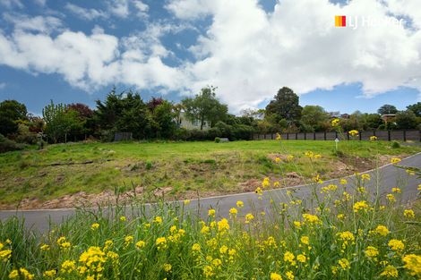 Photo of property in 10 Nursery Lane, Belleknowes, Dunedin, 9011