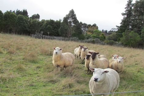 Photo of property in 133 Tararua Drive, Upper Plain, Masterton, 5888