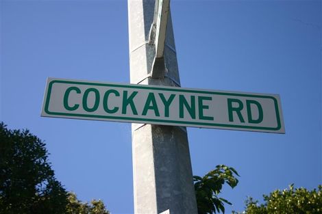 Photo of property in 2/258 Cockayne Road, Ngaio, Wellington, 6035