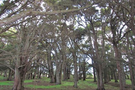 Photo of property in 133 Tararua Drive, Upper Plain, Masterton, 5888