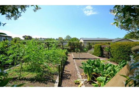 Photo of property in 106 Kapiro Road, Kerikeri, 0294