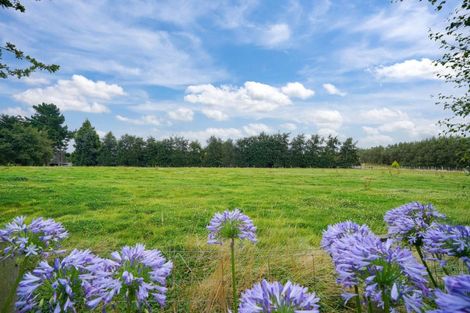 Photo of property in 224 Mill Road South, Seaward Bush, Invercargill, 9871