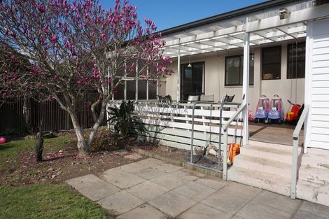 Photo of property in 52 Trafalgar Street, Levin, 5510
