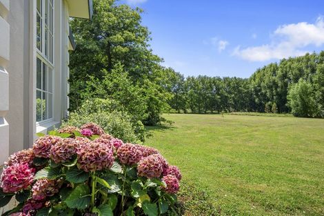 Photo of property in 295 Postman Road, Dairy Flat, Albany, 0794