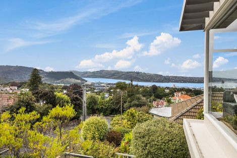 Photo of property in 15 Merlin Street, Roslyn, Dunedin, 9010