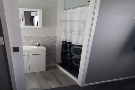 Photo of property in 4 Mersey Terrace, Roslyn, Palmerston North, 4414