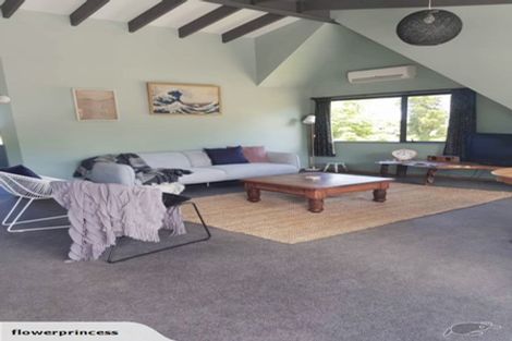 Photo of property in 491 Palmer Mill Road, Wairakei, Taupo, 3384
