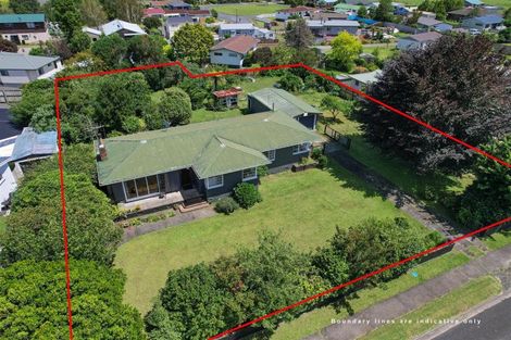 Photo of property in 70 Thames Road, Paeroa, 3600