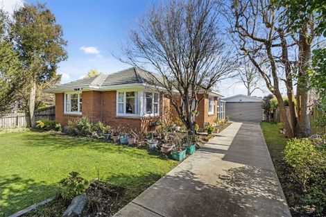 Photo of property in 77 Joy Street, Shirley, Christchurch, 8061