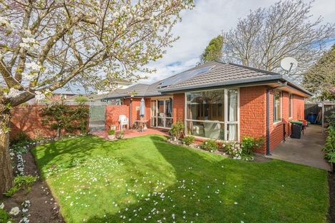 Photo of property in 43a Charles Upham Avenue, Hillmorton, Christchurch, 8025