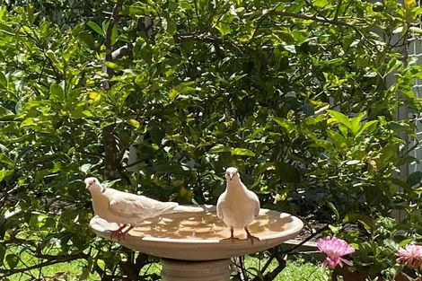 Photo of property in 265 Waihi Road, Judea, Tauranga, 3110