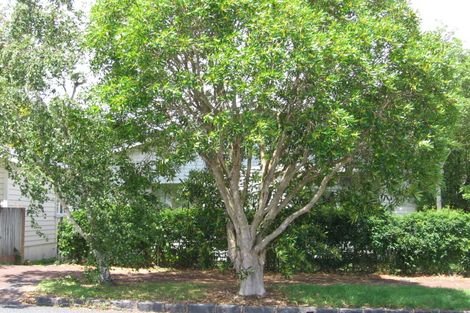 Photo of property in 15 Allen Road, Grey Lynn, Auckland, 1021
