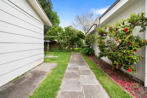 Photo of property in 24a Park Street, Foxton, 4814