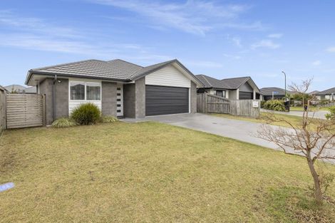 Photo of property in 8 Kanapa Close, Papamoa, 3118