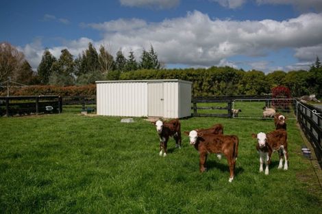Photo of property in 1094b Tauwhare Road, Tauwhare, Hamilton, 3287