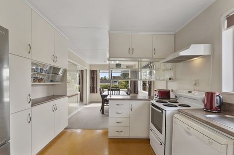 Photo of property in 35 Leefield Street, Blenheim, 7201