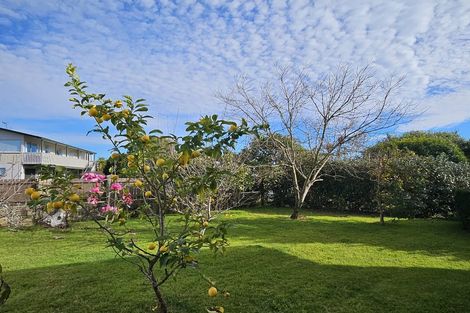 Photo of property in 31 Te Hono Street, Maungatapu, Tauranga, 3112