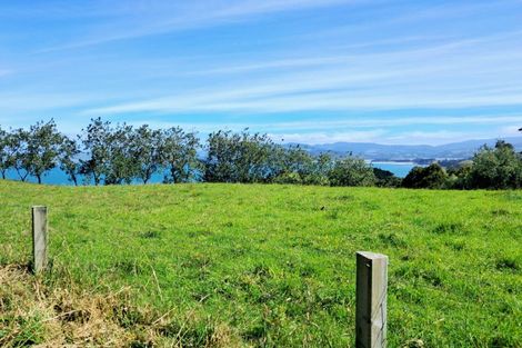 Photo of property in 24 Kilgour Street, Roslyn, Dunedin, 9010