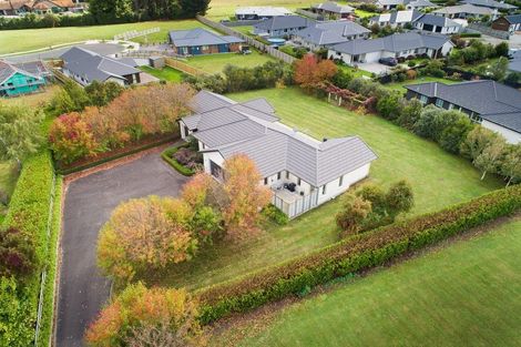 Photo of property in 105 Pharazyn Street, Feilding, 4702