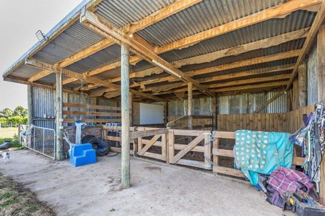 Photo of property in 441 Tararua Road, Levin, 5571