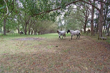 Photo of property in 87 Settlement Road, Kaiwaka, 0573