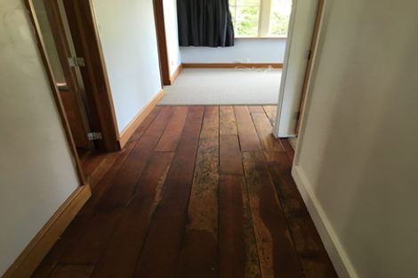 Photo of property in 9 Mortimer Terrace, Aro Valley, Wellington, 6021