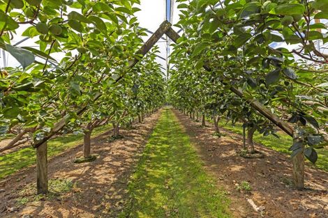 Photo of property in 225 Hoeka Road, Matangi, Hamilton, 3284