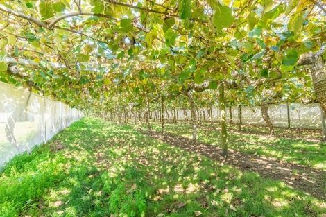 Photo of property in 69 Prole Road, Omokoroa, Tauranga, 3172