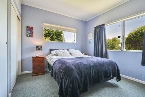 Photo of property in 900 Lyell Street, Akina, Hastings, 4122