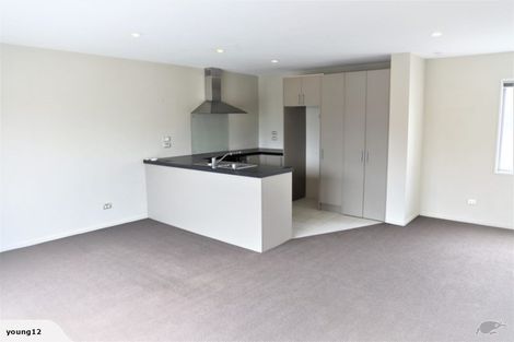 Photo of property in 10b Warwick Street, Richmond, Christchurch, 8013