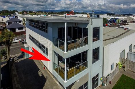 Photo of property in 147a Molesworth Street, New Plymouth, 4312