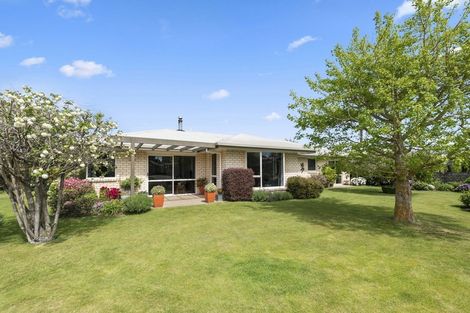 Photo of property in 20 Endeavour Street, Riversdale, Blenheim, 7201