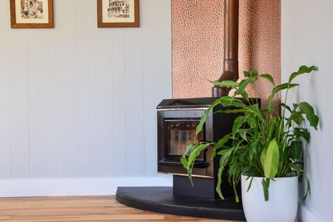 Photo of property in 113 Young Street, Te Awamutu, 3800