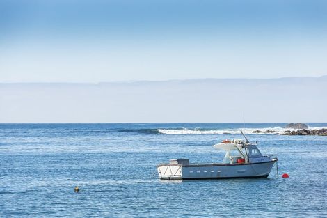 Photo of property in 156 Derwent Street, Island Bay, Wellington, 6023