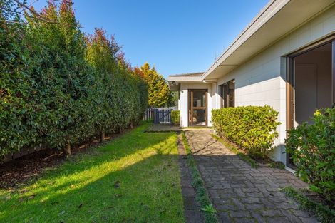 Photo of property in 14a Wikitoria Street, Maungatapu, Tauranga, 3112