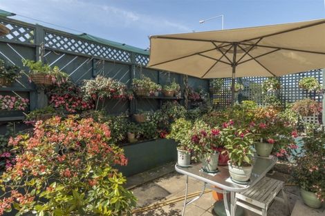 Photo of property in 224 Waihi Road, Judea, Tauranga, 3110