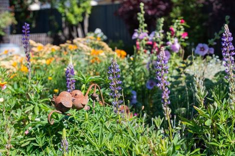 Photo of property in 31 Broom Street, Naseby, 9396