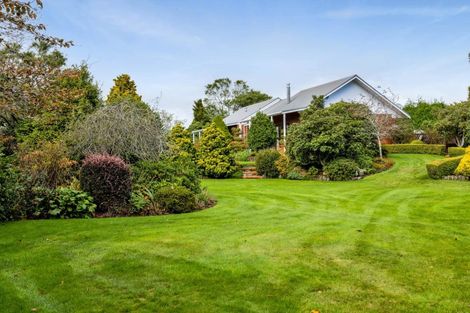 Photo of property in 172 Lepper Road, Inglewood, 4386