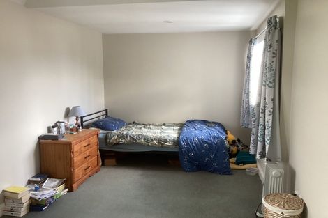 Photo of property in 29 Thompson Street, Mount Cook, Wellington, 6011