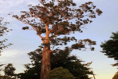 Photo of property in 897 Sandy Knolls Road, West Melton, Christchurch, 7675